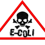 alt="simbolo triangular de lienas rojas, dentro en color negro una calabera con dos huesos cruzados, debajo se lee E-Coli"